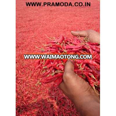 Indian dry red chillies