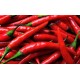 Fresh Red Chilli Pepper with good price