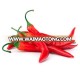 Good Sale Best Quality jinta Red Chilli/Chilli Pepper at Cheap Price