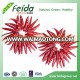 Best price high quality dry red tianying/chaotian chili red hot chili