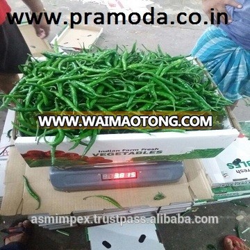 chilli and pepper exporters in India