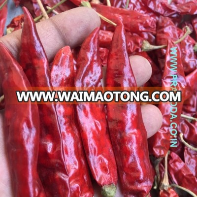 quality chili pepper buyers