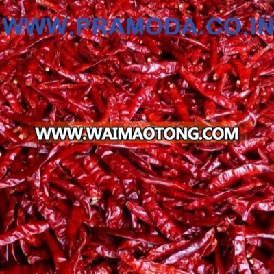 best quality s17 chilli exporter