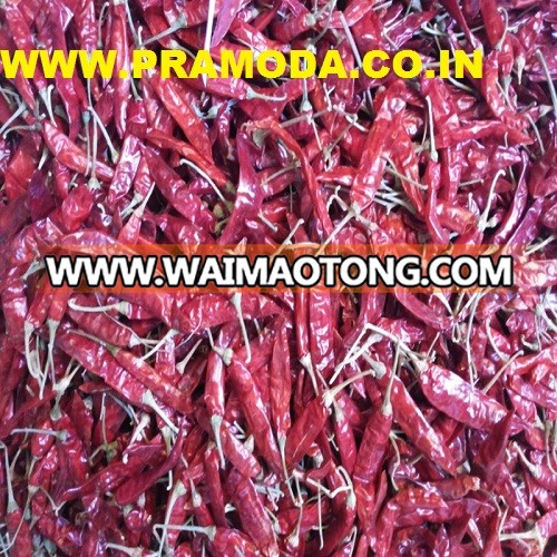 fresh dry red chili export quality